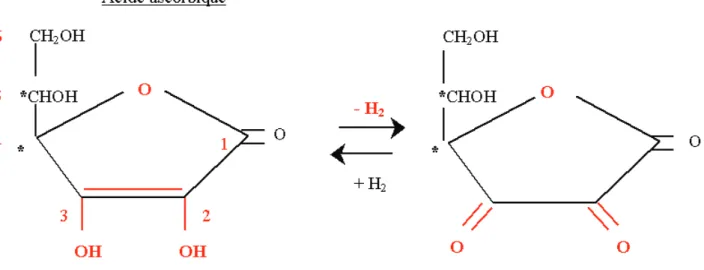 Figure 9: Formes d’oxydoréduction de la vitamine C