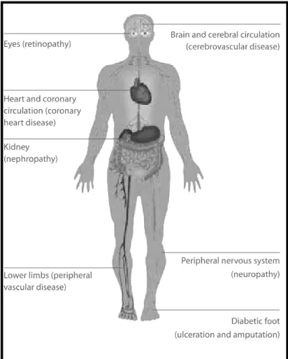 Figure 15 : Les complications cardiovasculaires liées (Diabetes  atlas troisième édition 2007, IDF) 
