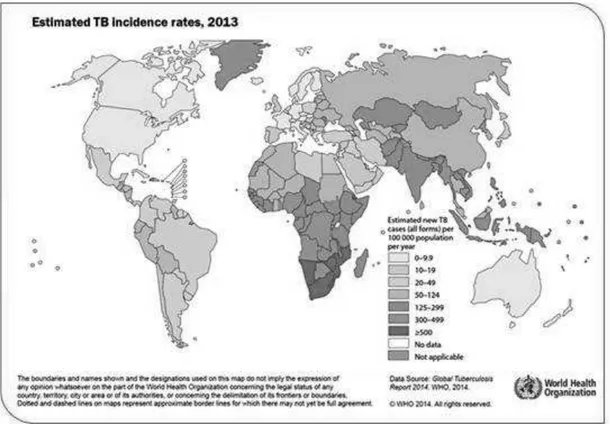 Figure 4 : Carte du monde en 2013 représentant le nombre de cas de tuberculose et l’incidence de la maladie       (OMS, 2013) 