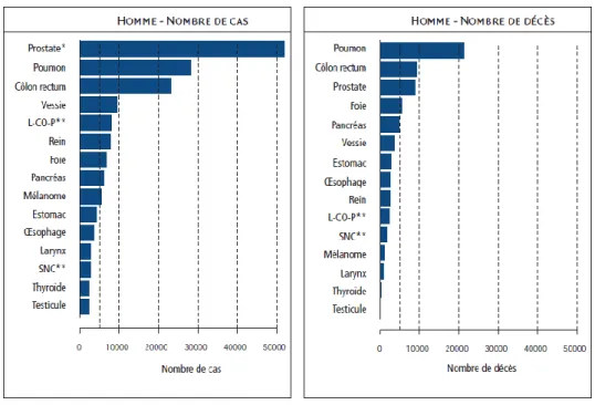 Figure 6. Estimation du nombre de cas et de décès par localisation en 2012, chez l’homme (10) 