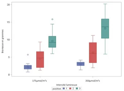 Figure 2.2  Influence d’intensités lumineuses modérée (1 : 175  mol/m 2 .s) et élevée (2 : 350  mol/m 2 .s) sur la  production de biomasse en fonction de l’âge des feuilles (1, en bleu : jeunes feuilles; 2, en rouge : feuilles  adultes; 3, en vert : feui
