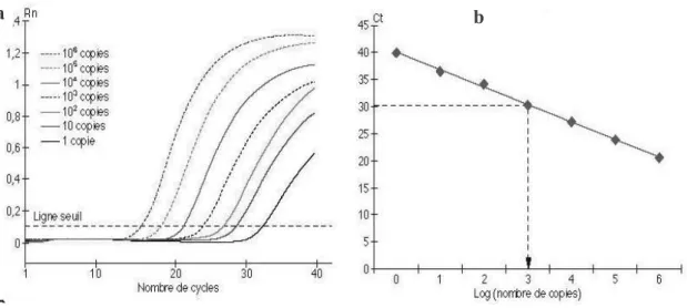 Figure 11 : Représentation des courbes de PCR en temps réel d’après Callot et al.[75]