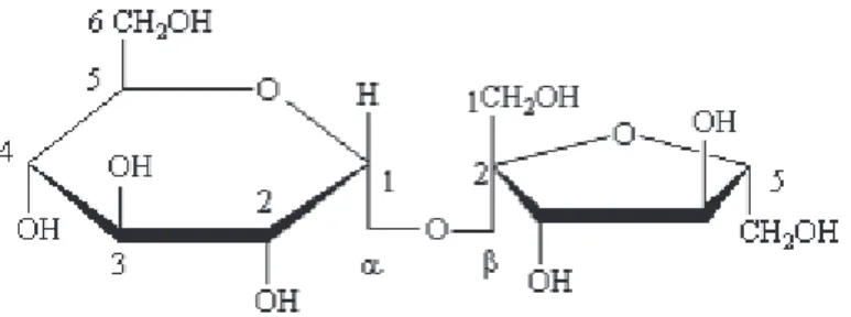 Figure 4 :  &amp;ŽƌŵƵůĞĐǇĐůŝƋƵĞĚƵƐĂĐĐŚĂƌŽƐĞ͕ĨŽƌŵĠĚĞů͛ƵŶŝŽŶĚ͛ƵŶĞŵŽůĠĐƵůĞĚĞŐůƵĐŽƐĞĞƚĚ͛ƵŶĞ molécule de fructose par une liaison osidique : disaccharide (réf.45) 