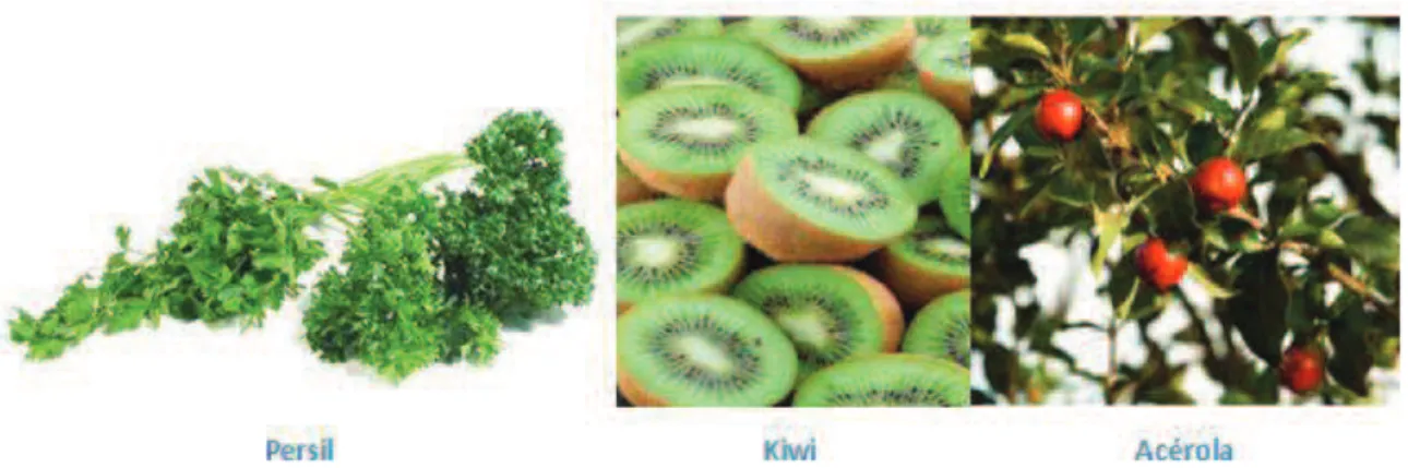 Figure 33 : Principales sources alimentaires de vitamine C (réf.38) 