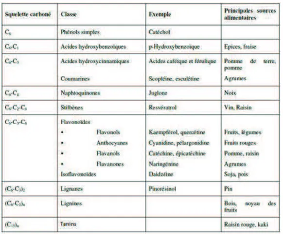 Figure 37 : Classification des composés phénoliques (CHANFORAN C., 2010) 