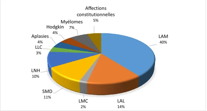 Figure 4 - la répartition des indications d’allogreffes en 2013  (agence-biomedecine.fr, sept 2015) 