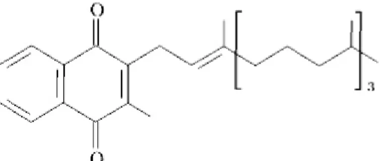 Figure 4: Phylloquinone = VitK1                 
