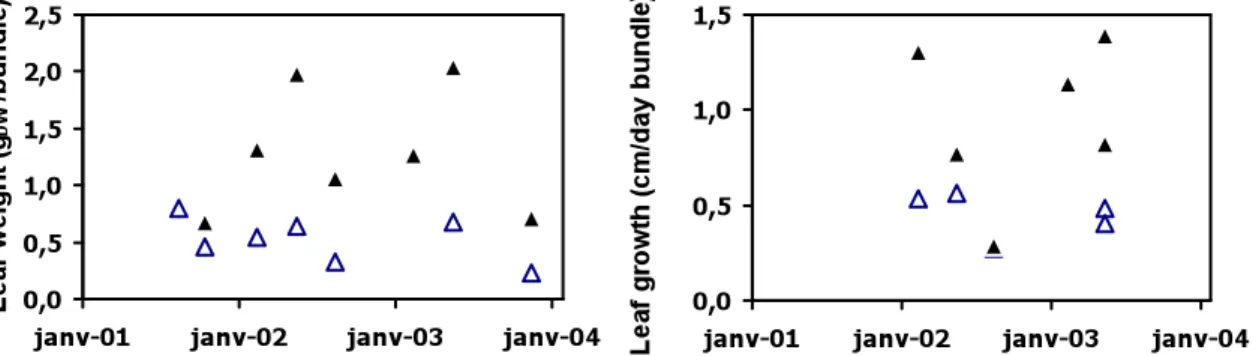 Fig.  2:  Temporal  evolution  of  the  leaf  weight  per  leaf  bundle  (left)  and  of  the  leaf  growth per leaf bundle (right) during the P