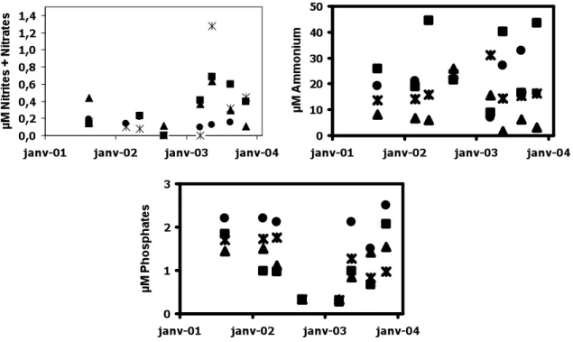 Fig 6: Ammonium, phosphates and nitrates concentrations (µM) in the interstitial pore  water  sampled  on  100  (asterisk)  and  50  (black  circle)  transplantation  grids,  in  the  healthy  meadow  (black  triangle)  and  in  a  reference  point  on  th