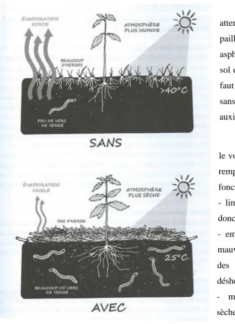 Figure 9 : Les vertus du paillage (Leclerc, 2017) 