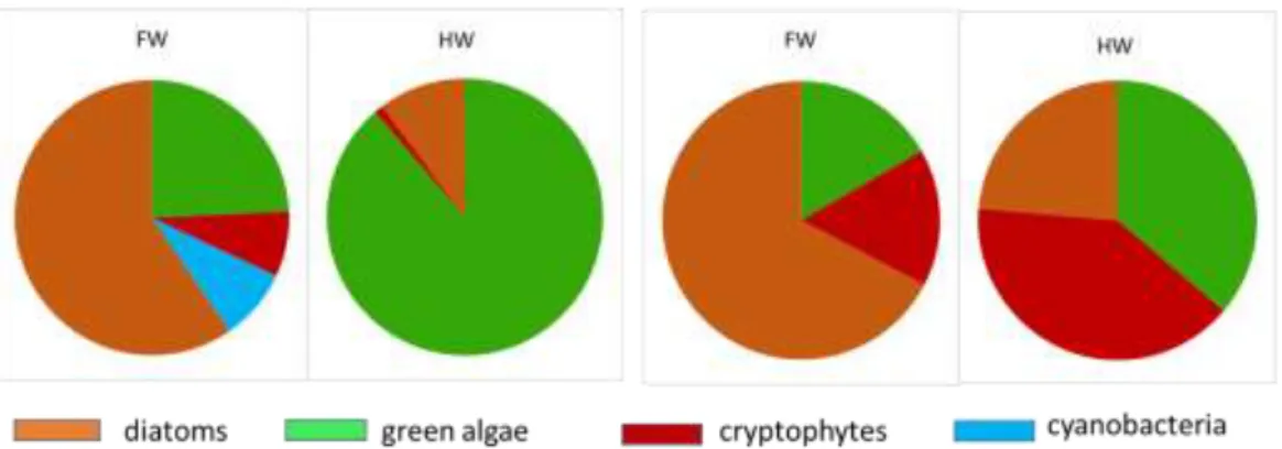 Fig.  10:  Average  relative  contribution  to  chlorophyll  a  of  the  main  phytoplankton  groups during the sampling campaigns of December 2013 (high water, HW) and June  2014 (falling water, FW) 