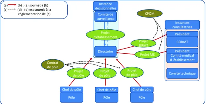 Figure 1 : Relation des instances de pilotage 