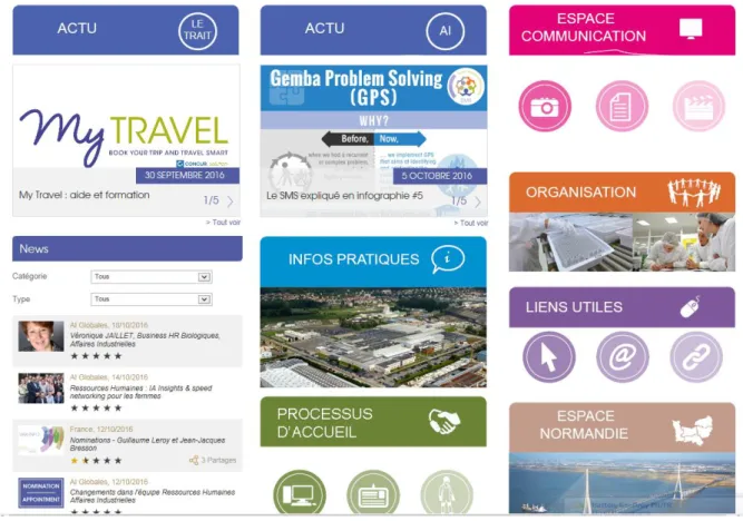 Figure 11 : Exemple 2 d’intranet  5.  Le crowd-sourcing 