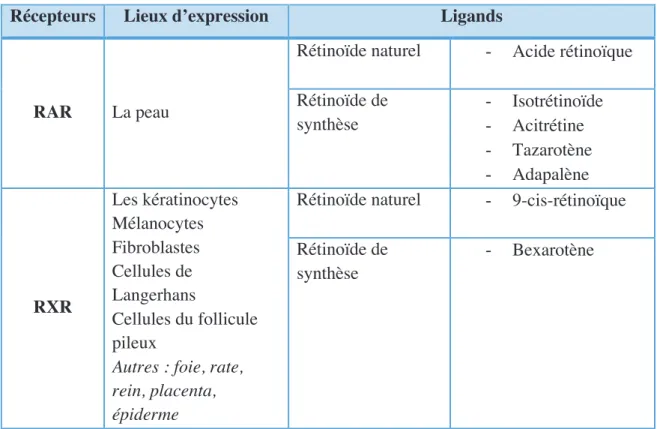 Tableau X : RŽpartition des rŽcepteurs en fonction de localisation et de leurs ligands 