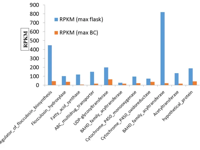Figure  9.  Differential  gene  expression  pattern  of  flocculosin  producing  genes