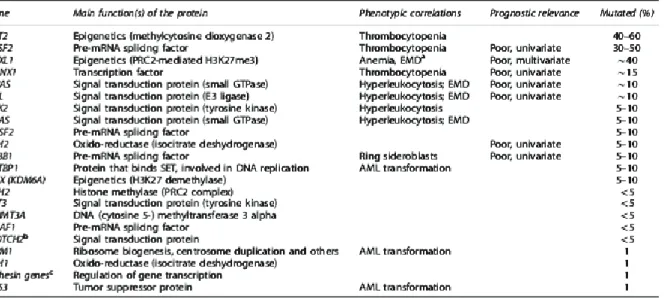 Tableau  3.  Les  différentes  mutations  géniques  identifiées  dans  la  LMMC  selon  Itzykson  et  al  (leukemia 2013)  23