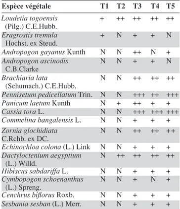 Tableau 8.  Représentation  de  quelques  graminées  et  légumineuses  dans  les  traitements  en  juillet  2003  à  Somyaga — Graminea  and  leguminous  species  representation by treatment in July 2003 in Somyaga.