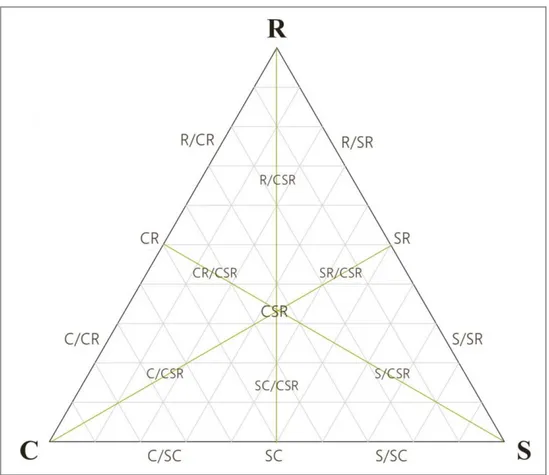 Fig.  1.12  (12)  Diagramme  triangulaire  CSR  présentant  les  trois  stratégies  adaptatives  primaires extrêmes de Grime (2001) et les 16 autres stratégies adaptatives intermédiaires