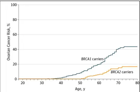 Figure 9 : Risques cumulés de développer un cancer de l’ovaire invasif en fonction de l’âge pour les  porteuses d’une mutation délétère sur le gène BRCA1 ou sur le gène BRCA2