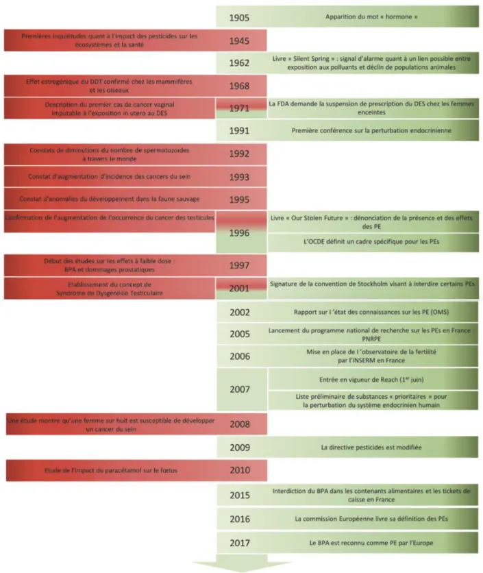 Figure 5 : Historique de la perturbation endocrinienne. En rouge sont présentés les faits graves et  en vert les actions mises en place par les organismes réglementaires