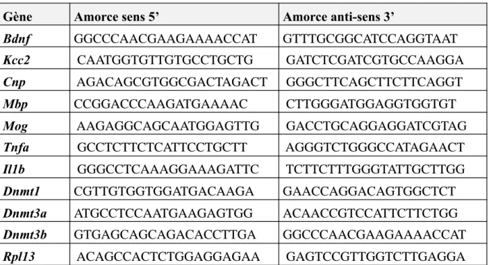 Tableau 1 : Séquences des amorces utilisées en PCR quantitative. 