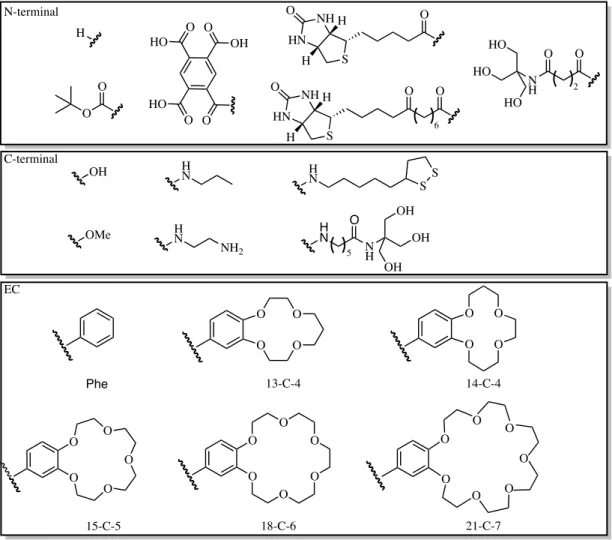 Figure 2.20 34 Paramètres modifiés pour obtenir différents analogues du peptide 21-mère 