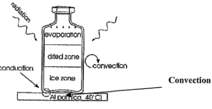 Figure 8 d'après Thurk et al [16]  décrivant les différents transferts de chaleur impliqués dans la  dessiccation 