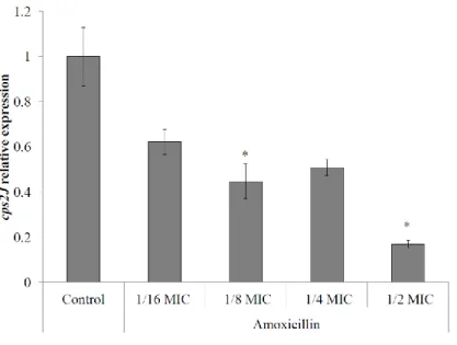 Figure 1. Relative expression of the capsule gene cps2J by S. suis P1/7 in the presence of sub- sub-inhibitory concentrations of amoxicillin