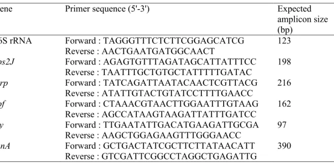 Table 5. Primers used for the determination of virulence factor gene expression in S. suis P1/7