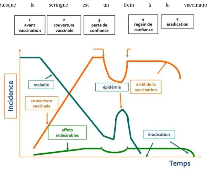 Figure 1 : Incidence de la maladie, de la couverture vaccinale et des effets indésirables en fonction du temps (8)