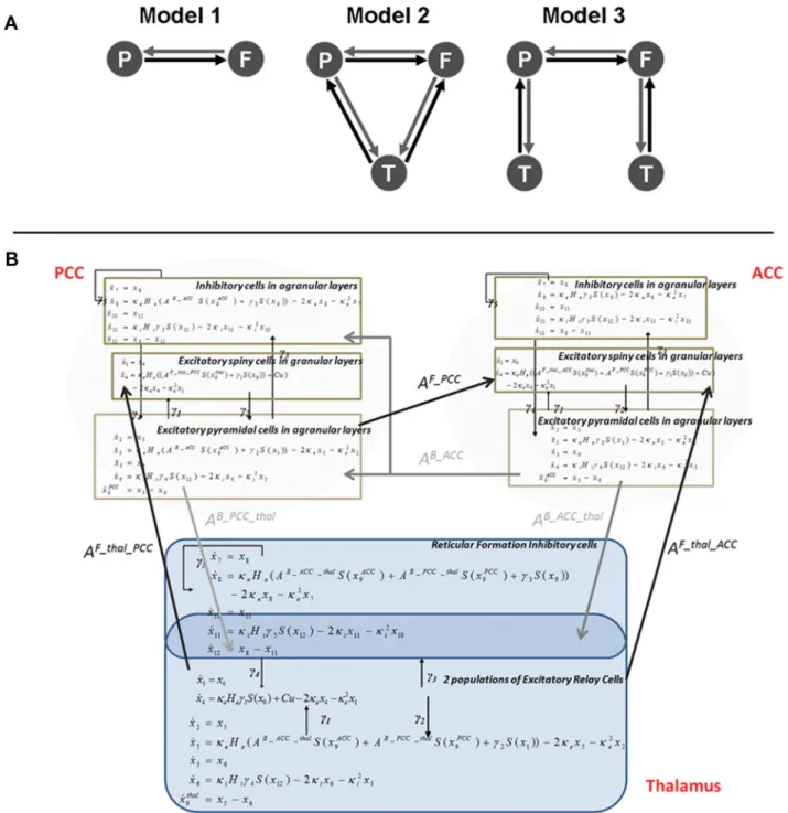 Figure 2. A, Model specification: the three DCMs used for Bayesian model comparison. Sources in each model receive endogenous neuronal fluctuations or innovations (modeled as a mixture of pink and whitenoise)thatelicitneuralresponsescharacterizedbyapowersp