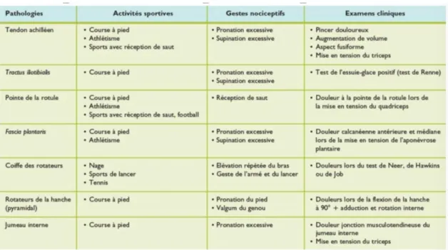 Figure 15 : Les principales tendinopathies, les sports concernés et la  symptomatologie clinique (40) 