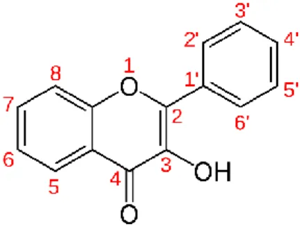 Figure 10 : Structure commune des flavonols 