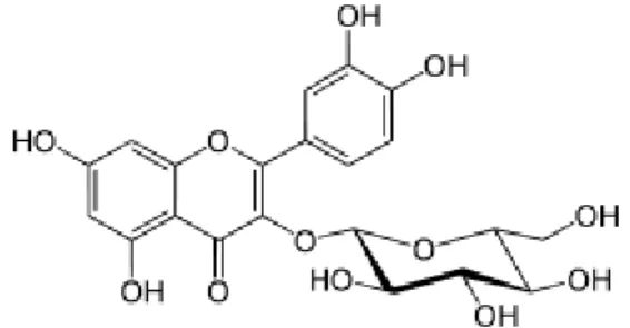 Figure 12 : Structure de la quercétine – 3 – O – glucoside 