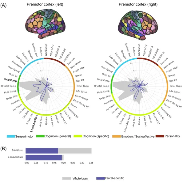Figure 5. (A) Psychometric profiles for pairs of parcels in premotor cortex in left and right  hemispheres respectively, using FIX-Pearson-SVR combination at 300-parcel granularity, 