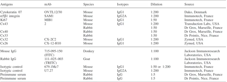 Table I. Antibodies used for immunohistochemistry