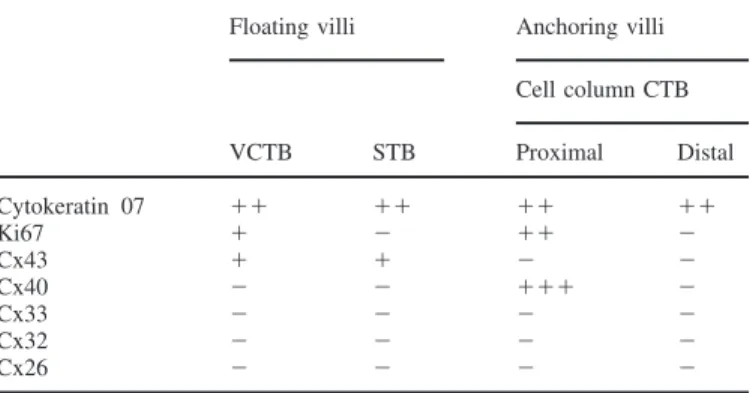 Table II. First trimester connexin staining patterns at the fetal–maternal interface, as assessed by immunolocalization