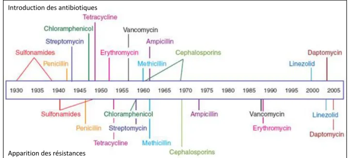 Figure  n°3 :  Comparaison  chronologique  de  l’introduction  des  antibiotiques  et  de  l’apparition  des  résistances associées [13]