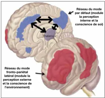 Fig. 4 : En bleu : le réseau interne de la conscience, ou réseau du  mode par défaut, impliqué dans la perception interne et la  conscience de soi