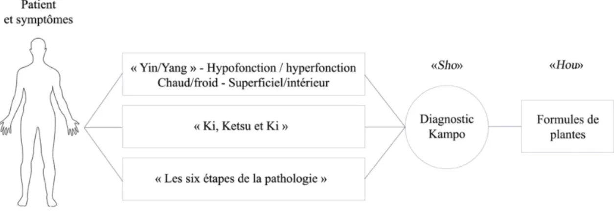 Figure 2 : Illustration du processus de diagnostic Kampo  Schéma provenant de l’ouvrage Introduction to Kampo, traduit par M.Traversaz