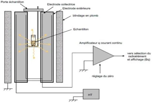 Figure 8 : Schéma d’un activimètre (81) 