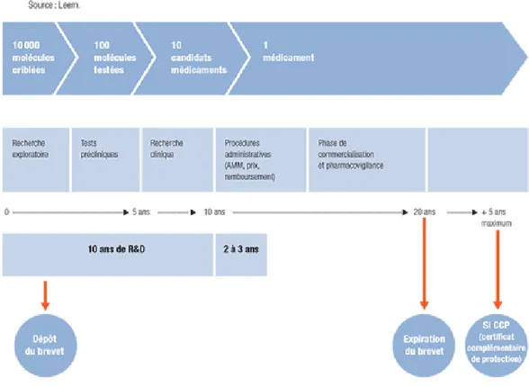 Figure 2-1 :Schéma récapitulant le cycle de vie du médicament [7] 