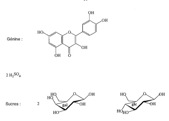 Figure 2 : Fragments obtenus après hydrolyse totale de 37  : La génine, 2 H 2 S0 4,  2 galactoses, 1 glucose
