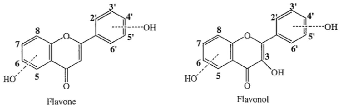 Tableau  4  :  différence de déplacements chimiques en  RMN  1 H  entre  les  dérivés  monosulfatés  et leur  génine