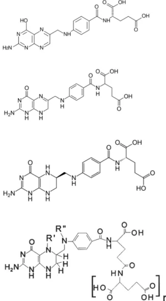 Figure 2.6 : Structure chimique de l’acide folique et de ses dérivés. 