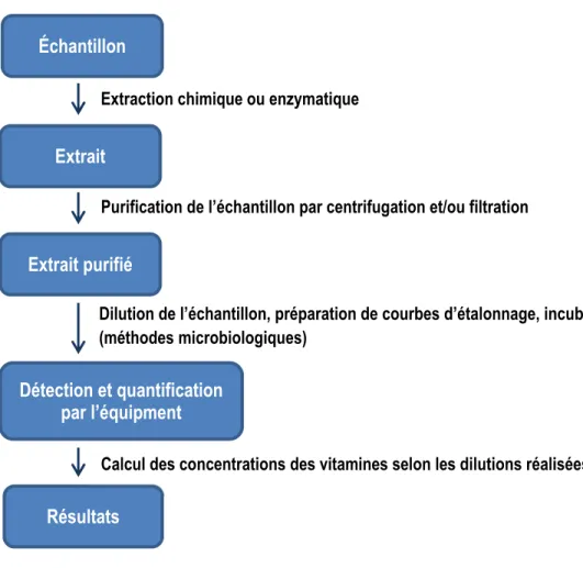 Figure 2.8. Représentation schématique de l’analyse des vitamines. 