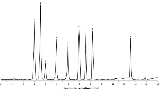 Figure 2.9. Exemple théorique d’un chromatogramme produit par une méthode d’analyse de  vitamines par CLHP en phase inverse
