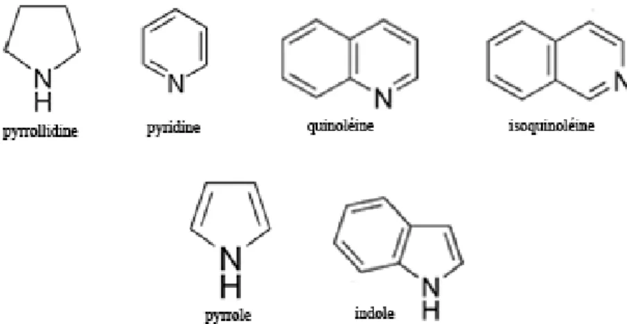 Figure 9 : Structure d’alcaloïdes 