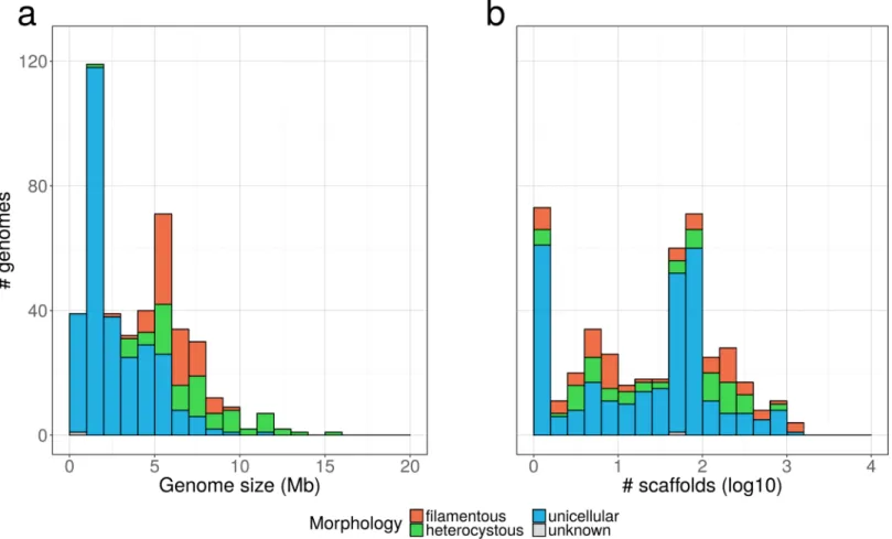 Fig 2. Overview of public cyanobacterial genome assemblies. The 440 strains were classified into four morphologies (unicellular, filamentous, heterocystous, unknown).