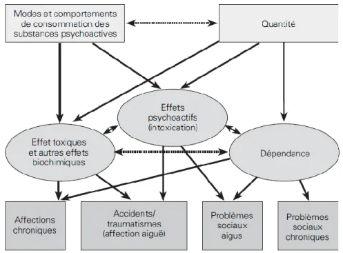 Figure 8 : Relations entre l’usage de substances psychoactives et conséquences sanitaires et sociales (18) 